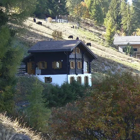Chalet Perles Des Alpes 別荘 *