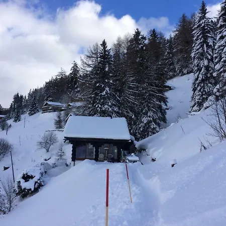 Chalet Perles Des Alpes 別荘 *