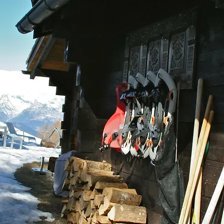 Chalet Perles Des Alpes 別荘