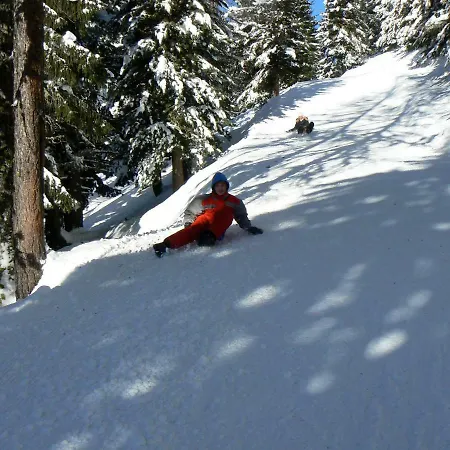 別荘 Chalet Perles Des Alpes *